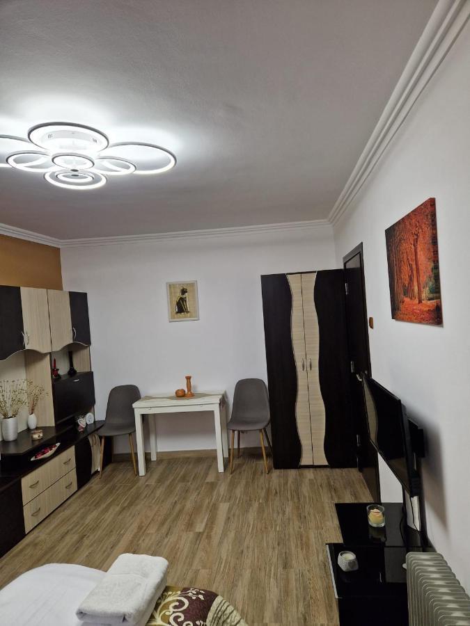 Băile HerculaneGarsonieraアパートメント エクステリア 写真