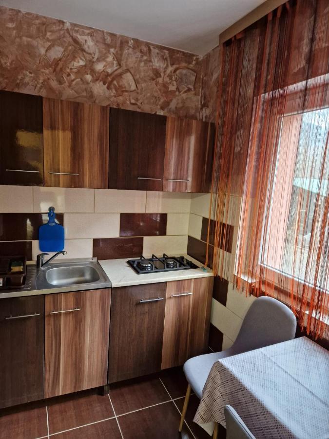 Băile HerculaneGarsonieraアパートメント エクステリア 写真